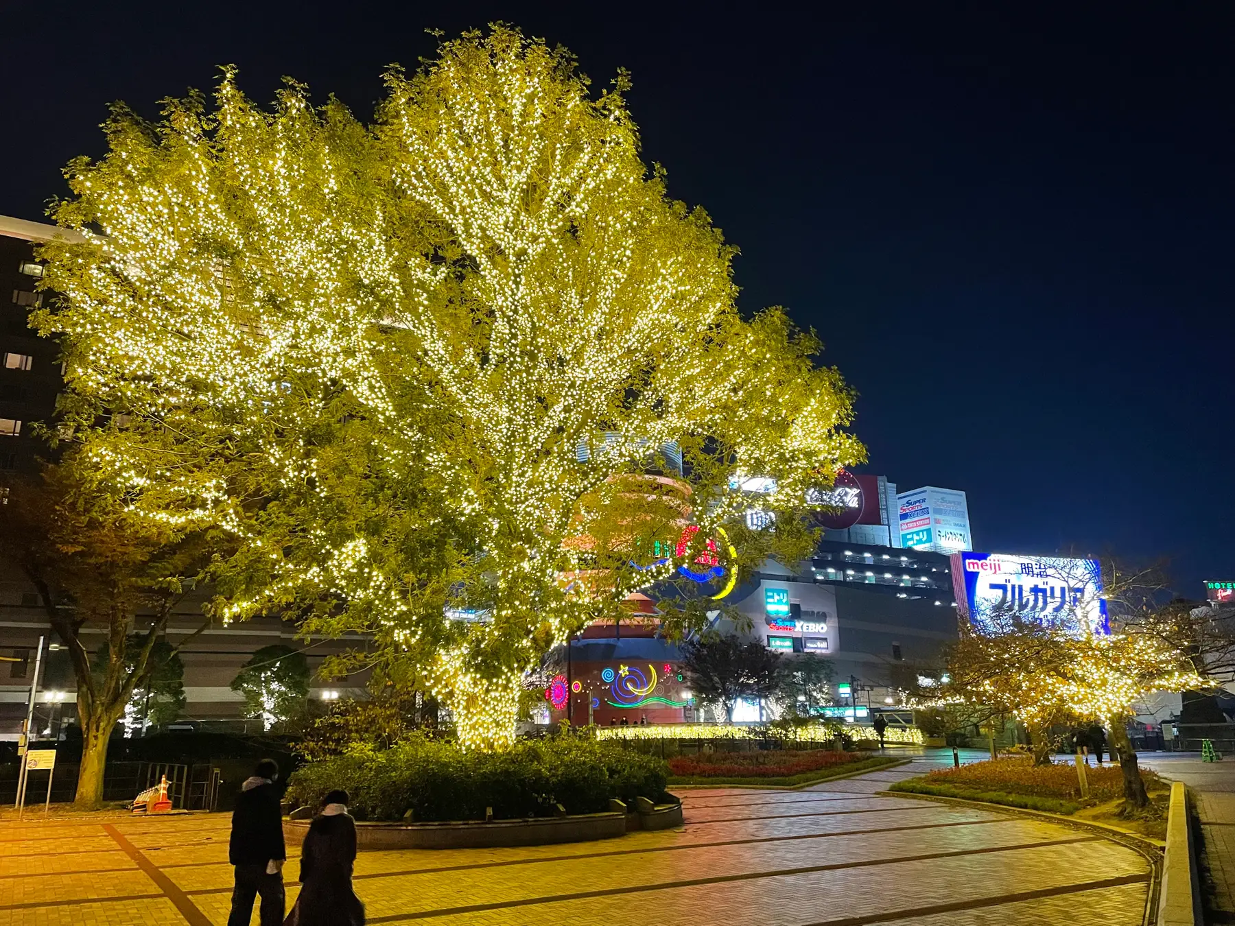 3. 季節ごとのイベントや雰囲気を楽しむ