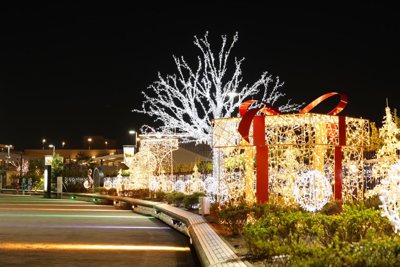 WINTER LIGHT FANTASY ILLUMINATION