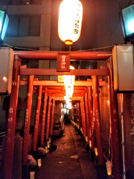 中洲の夜を守る静寂の社：國廣稲荷神社の夜景