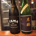 中洲の一人飲みできるお店TOP20!【2025年】